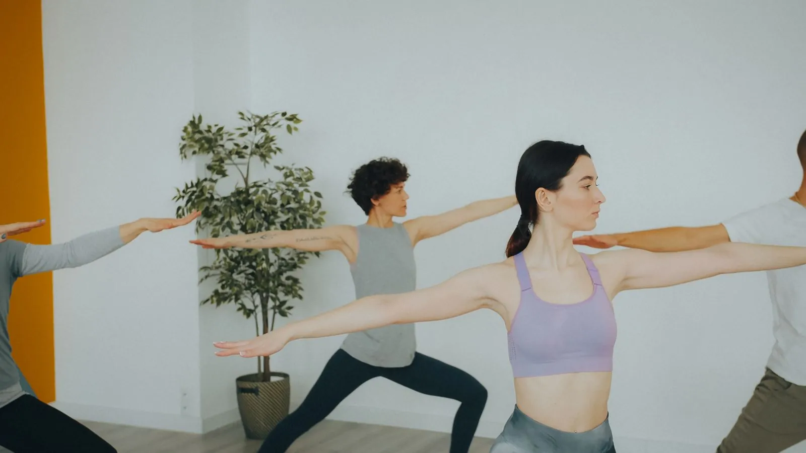 Aydınlık bir stüdyoda grup yoga dersi